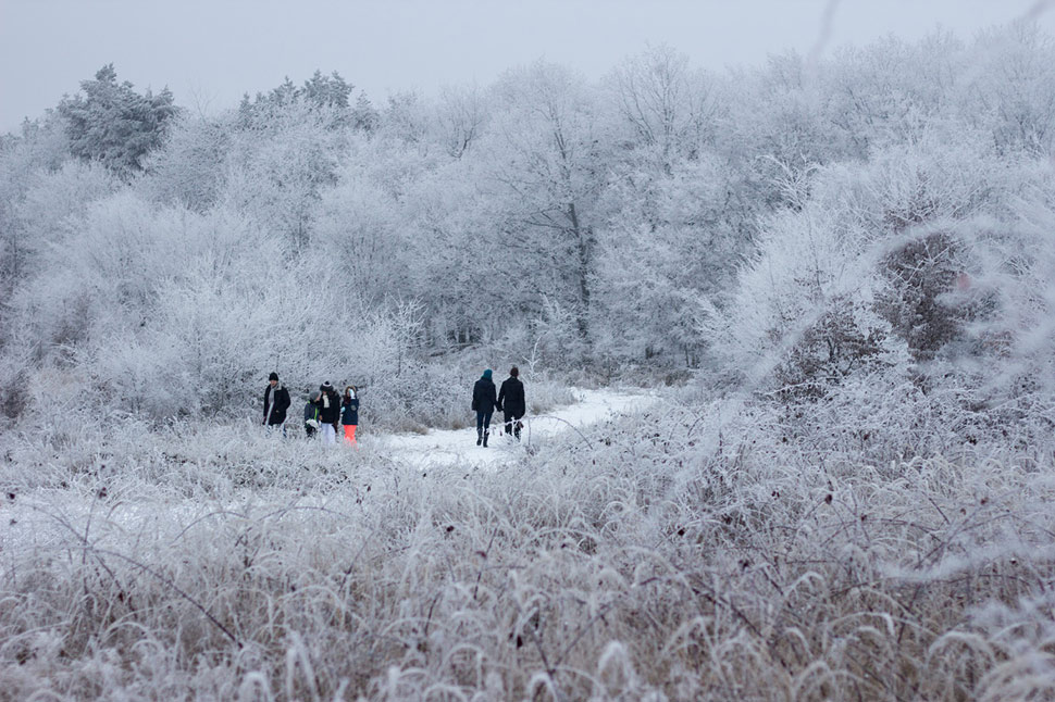 Trojkráľová prechádzka v zasrienenom lese