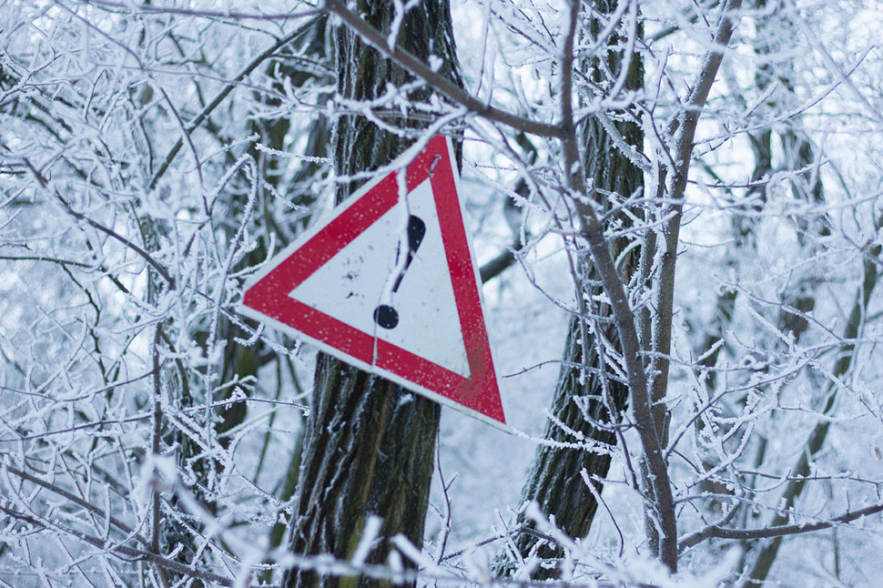 Trojkráľová prechádzka v zasrienenom lese