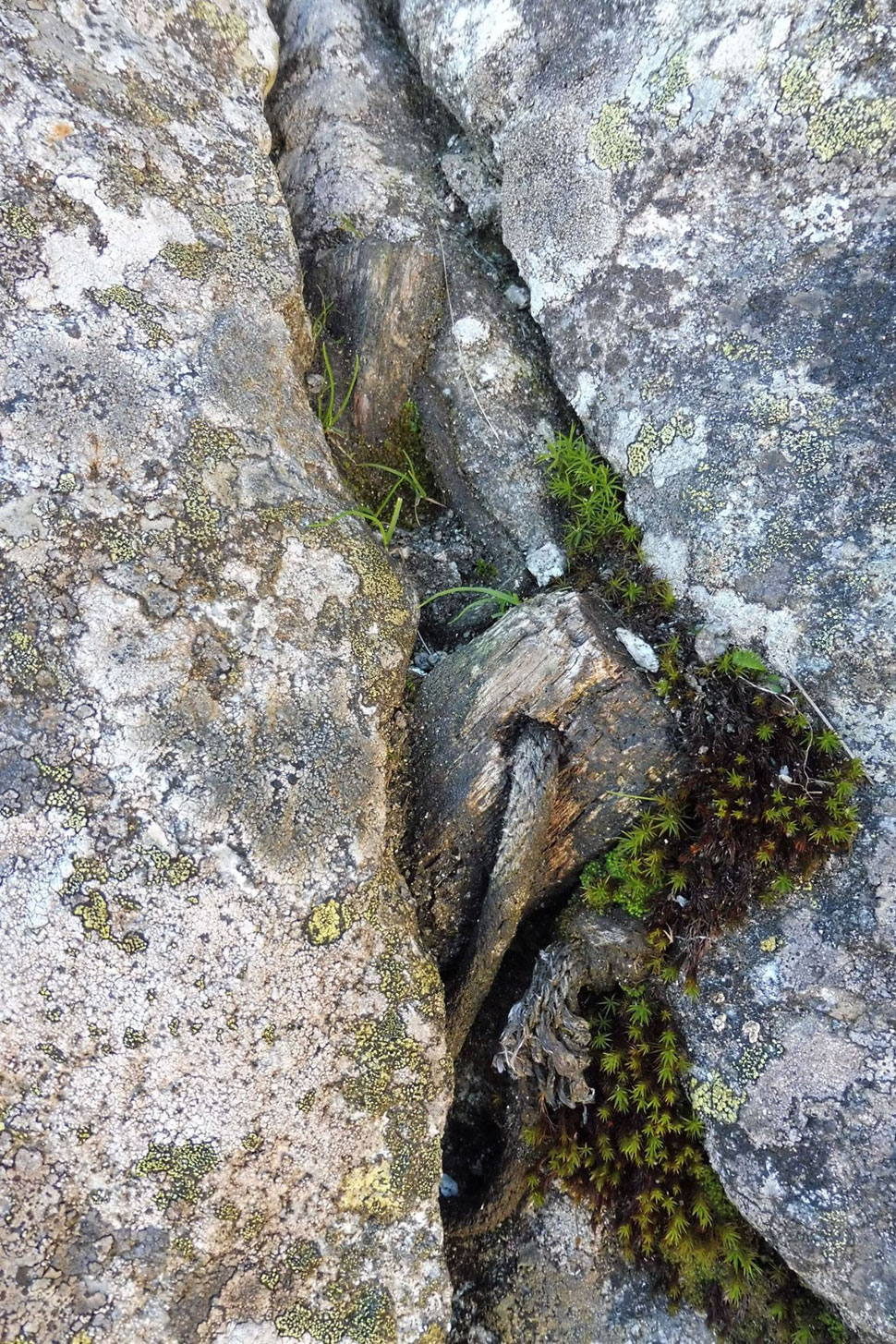 Historické istenie v stene - drevený kôl