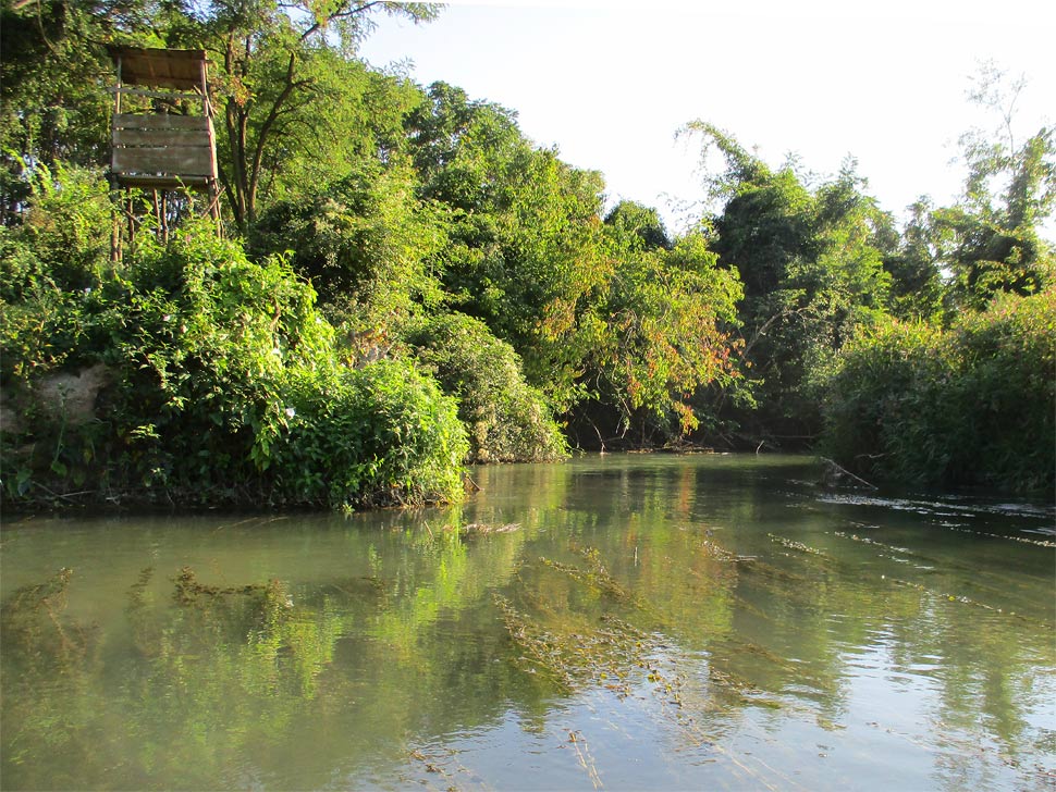 Je tam mnoho posedov. Počas poľovníckej sezóny, cez víkendy a v podvečer odporúčam opatrnosť