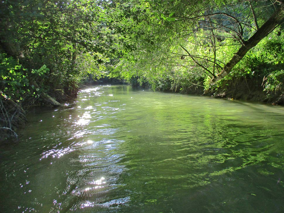 Tu býva vodník. Pri tomto stave vody pokojne driemal a nechal nás na pokoji