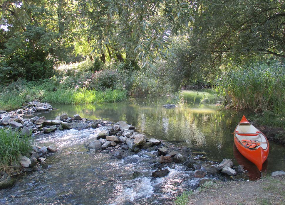 V dunajských ramenách pri Dunakiliti
