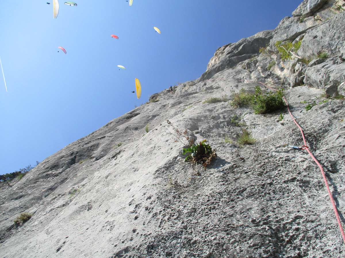Na skalách nás niekedy sprevádzajú motýliky. Motýle z Hohe Wandu boli trocha väčšie