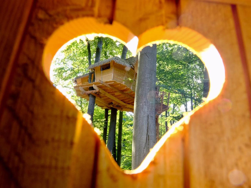 Tree House in Bratislava Forests