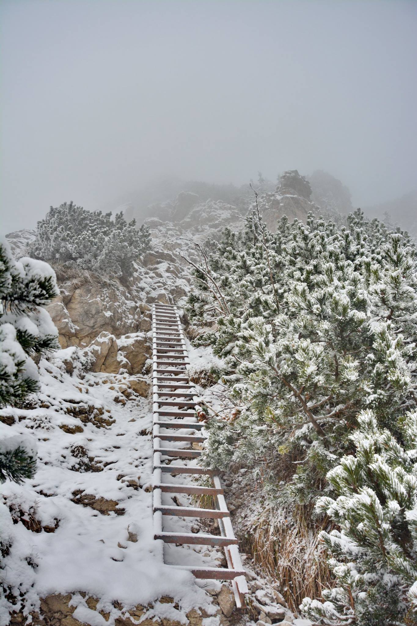 Ascent to Veľký Rozsutec on November 9, 2016