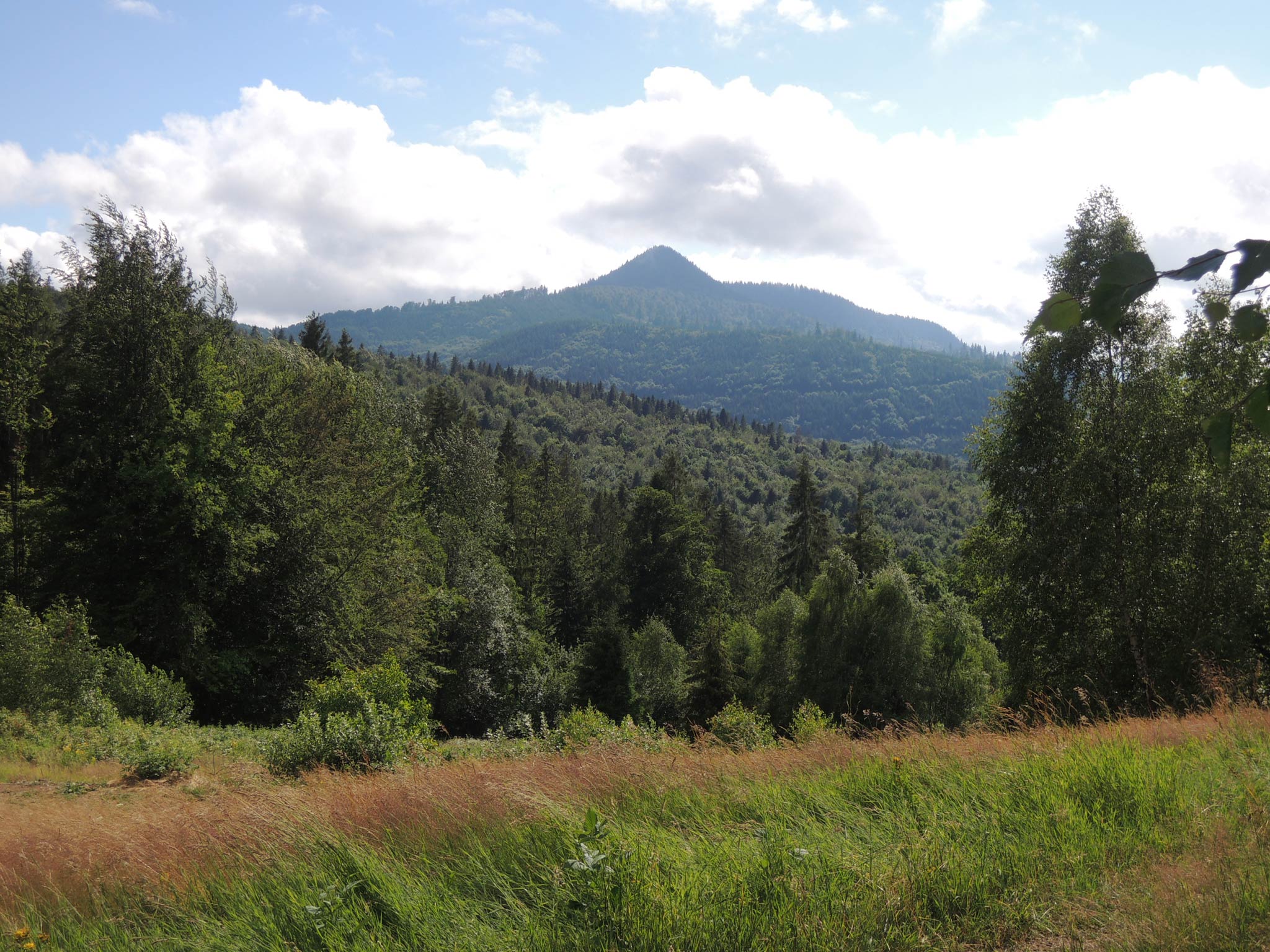 Od sedla Machniarka je pekný výhľad na najvýraznejší kopec Veporských vrchov – vulkanický Klenovský vepor