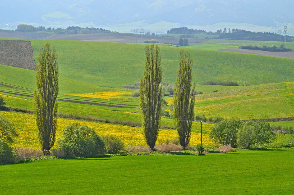 Near Turčiansky Jasen