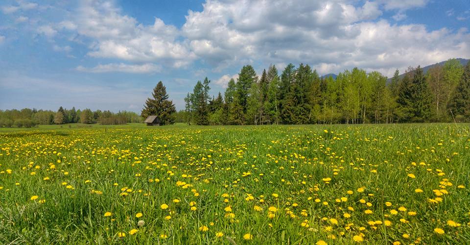 Pribylina and surroundings