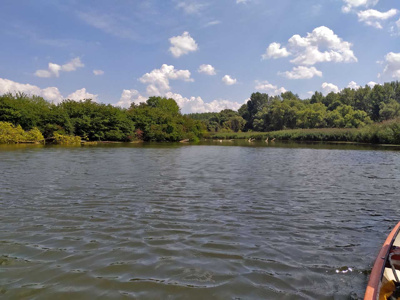 Džungľa je za nami