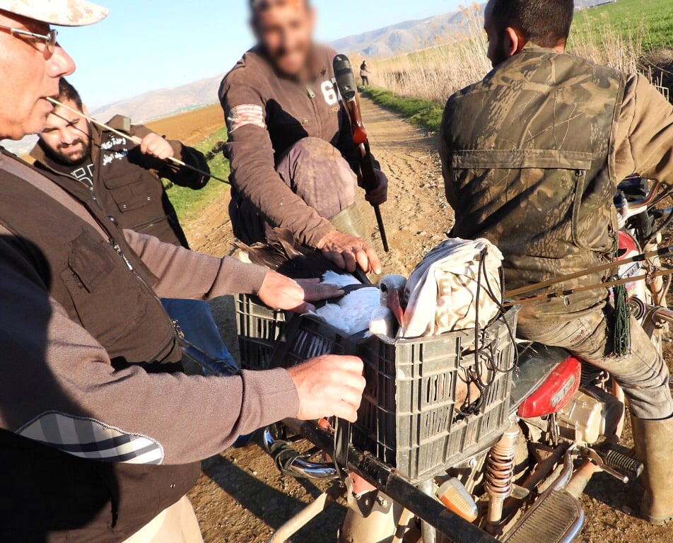 Títo muži prevážali postreleného bociana. Enviromentálni dobrovoľníci im ho dokázali zabaviť a odviezť k veterinárovi