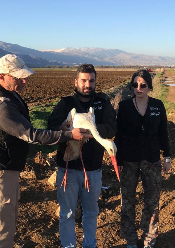 Dobrovoľníci s poraneným bocianom