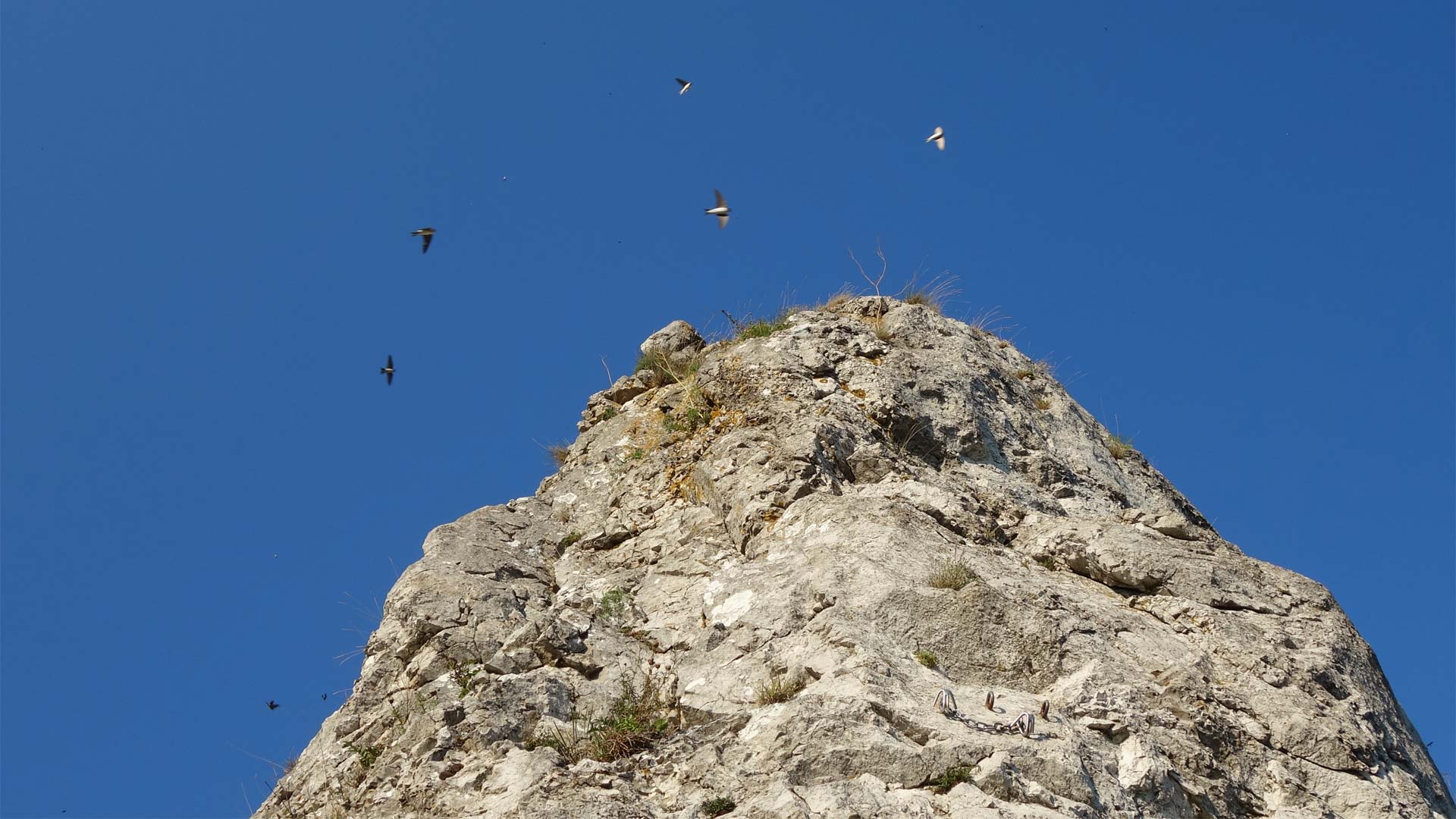 Belorítky nad skalami na Kršlenici.
