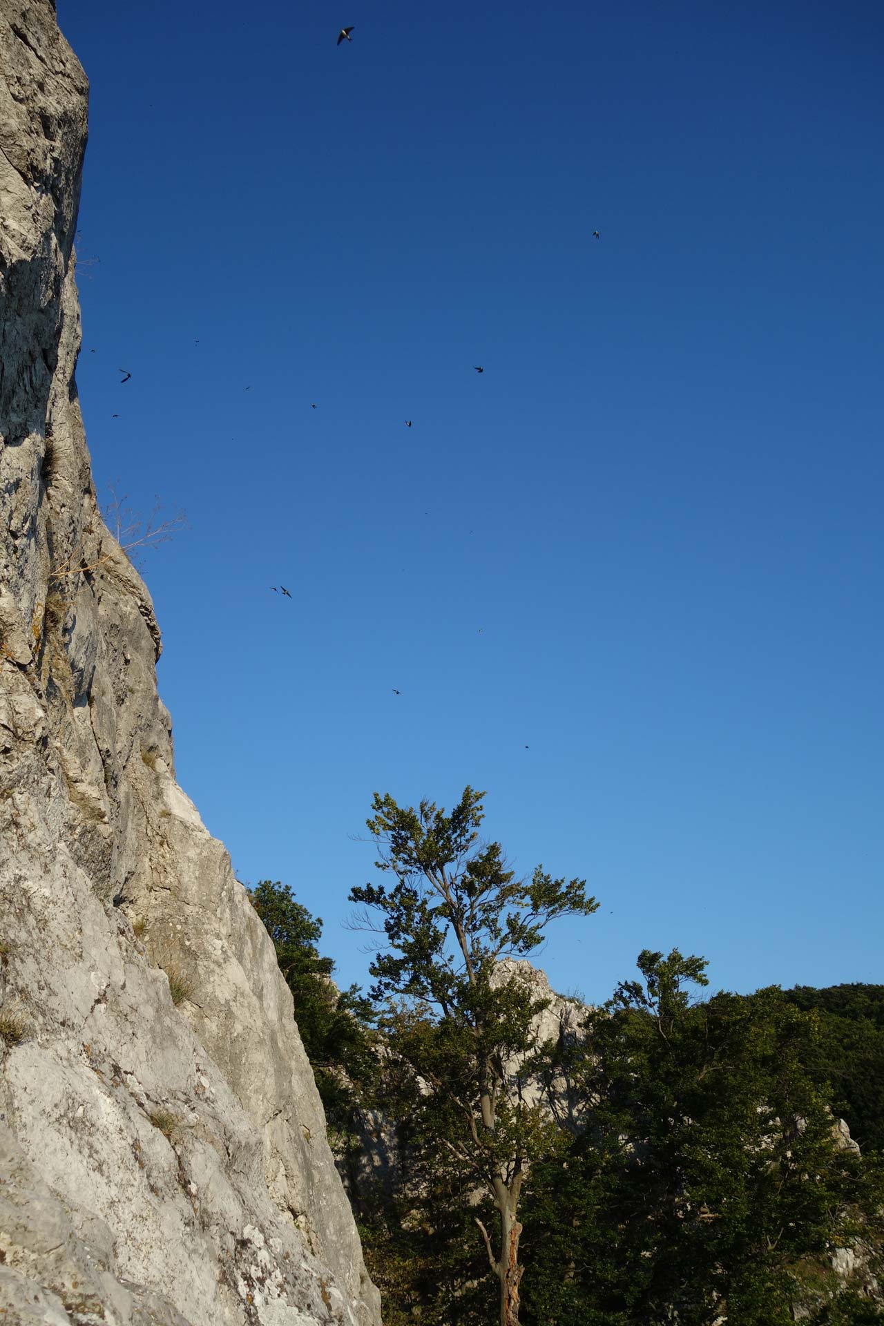 Belorítky nad skalami na Kršlenici.