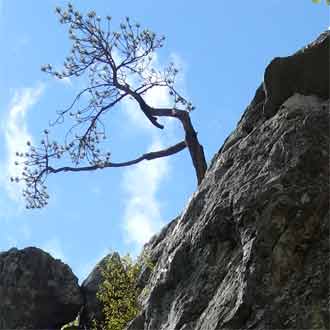 Meteokúzla Thalhoferského hrebeňa