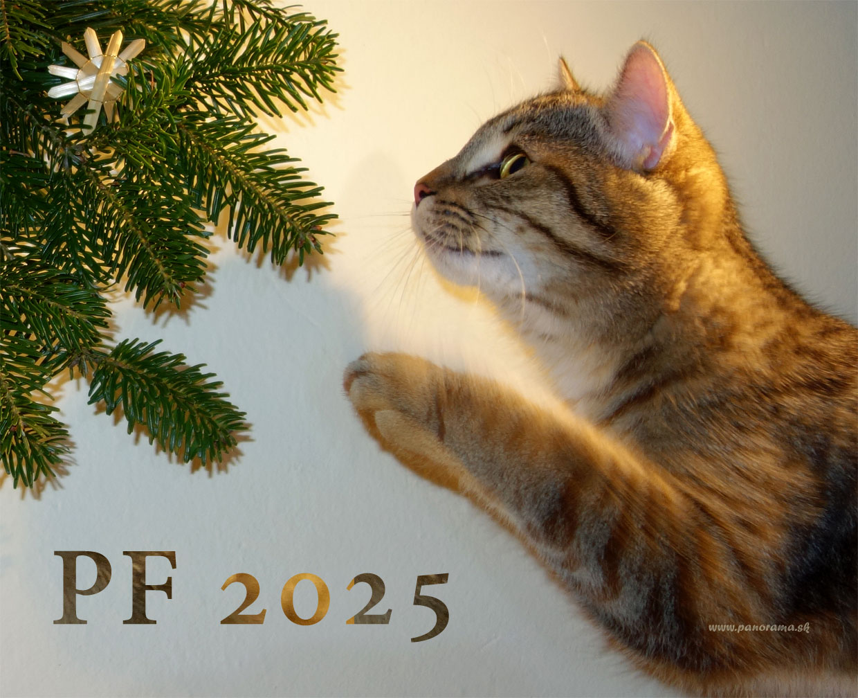 Mnoho pekných prekvapení.