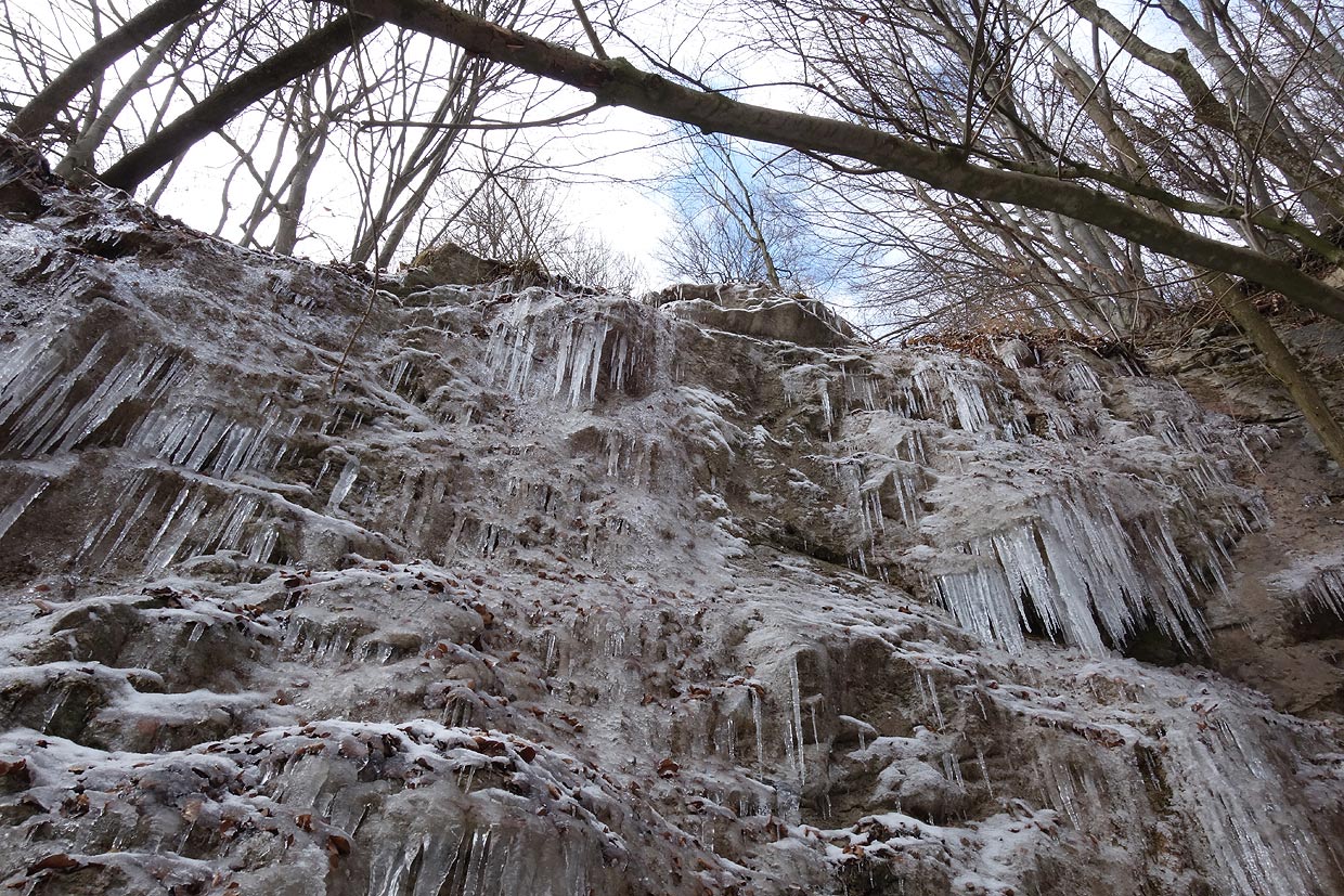 Cencúle na Medených hámroch 15. februára 2025
