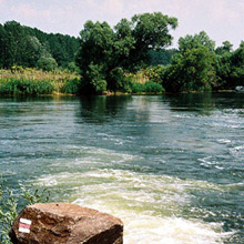 Danube River branches - Gabcikovske rameno I.