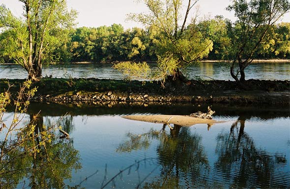 The Danube River - Karloveske rameno
