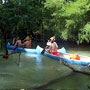 The Danube River branches 2