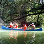The Danube River branches 3