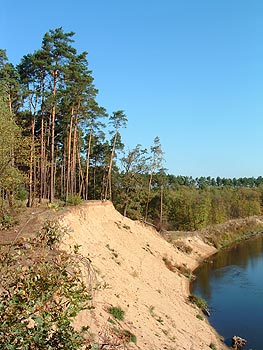 Z meandrov na Morave