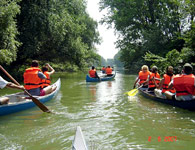 In the Danube River branches