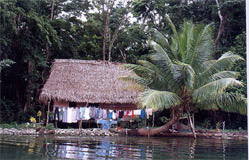 Fotografia z knihy Jak se mají Mayové aneb Proč bychom se neděsili - Tropický ráj na Rio Dulce