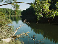 Dunajské rameno - ostrov pod Gabčíkovom