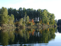 Dunajské rameno - ostrov pod Gabčíkovom