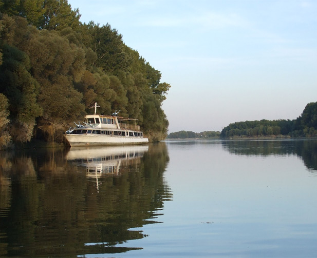 Abandonned ship in the Danube River branch