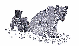 Ilustrácia z knihy Rozjímanie s medveďmi