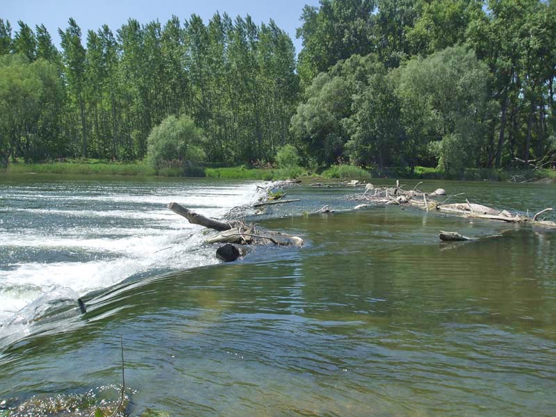 Vysoký stav vody na prehrádzkach v Gabčíkovskom ramene