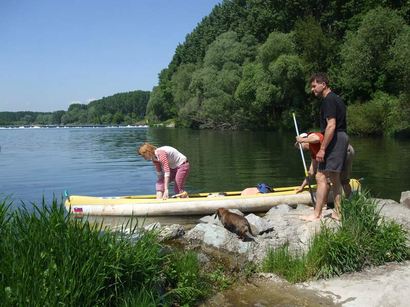 Gabcikovske Rameno branch