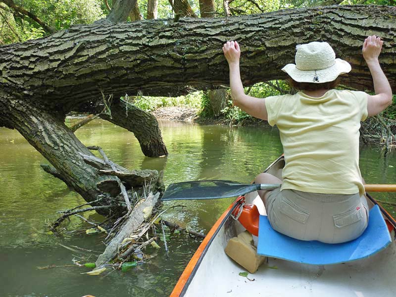 Trip to the Danube River branches, May 21, 2011