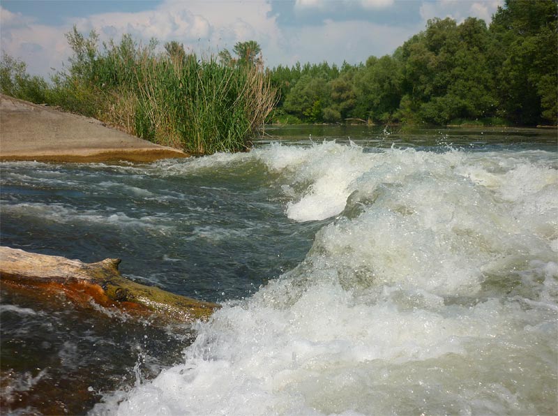 Dunajské ramená, 21. mája 2011