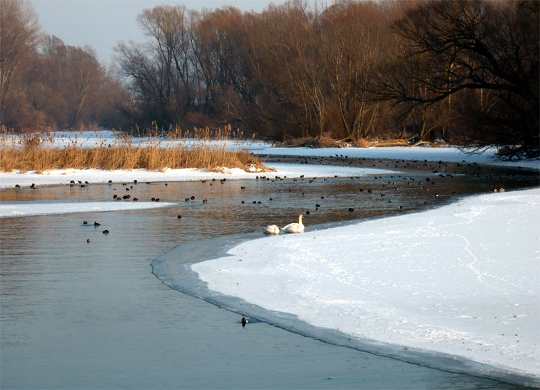 Ľadový meander pod Šípovou haťou