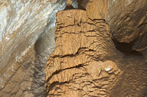 Harmanecka Jaskyna Cave - Sediment Passage - Flowstone Baldachin