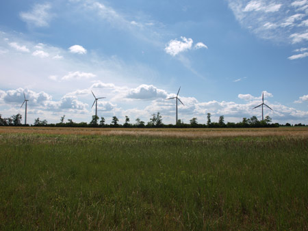 Windpark in Prellenkirchen in Austria near Bratislava