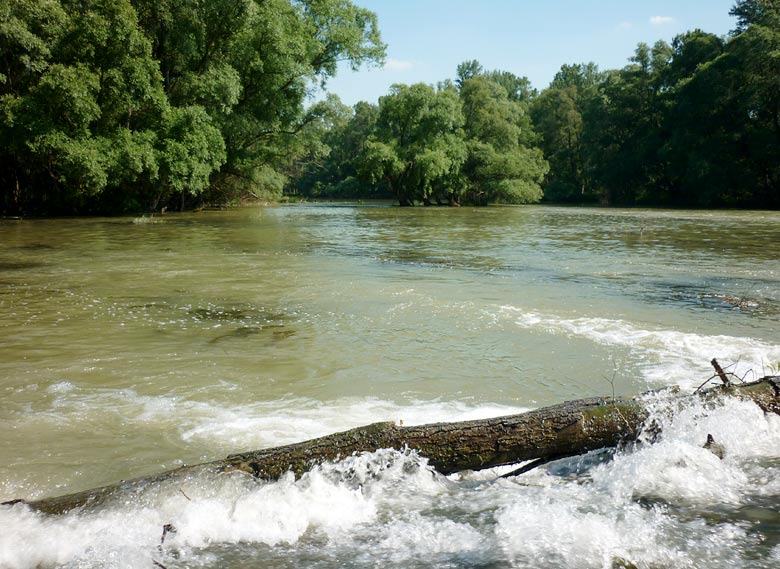 The sluice near Bodiky - Danube River arms