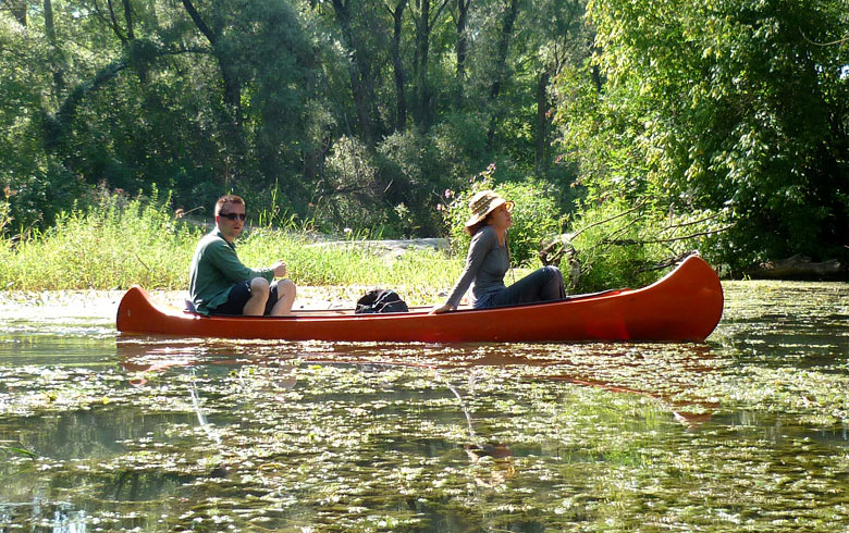 Danube River branches - August 2012