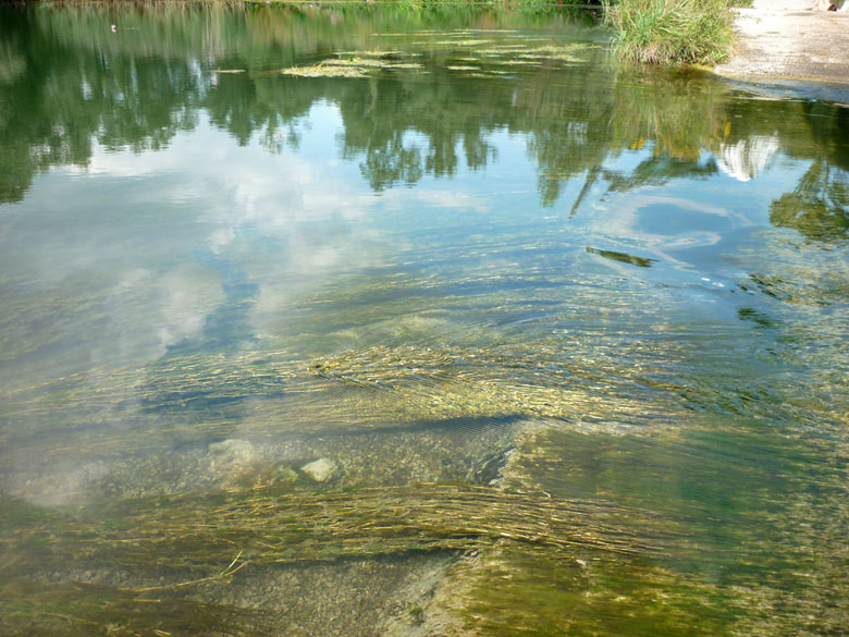 Danube River branches - August 2012