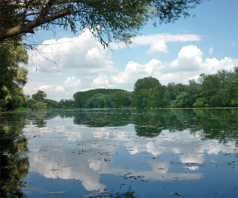 Danube River branches - August 2012