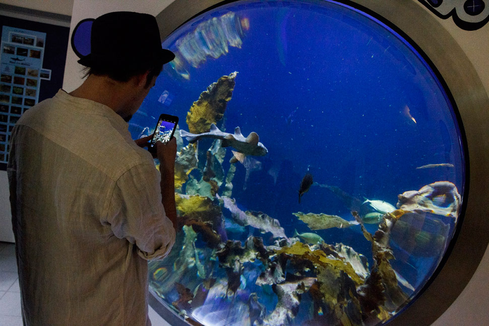 V Dome morí vo Viedni