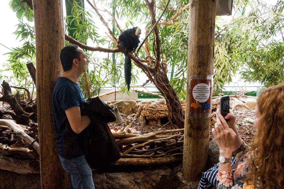 V centre Viedne sa ocitáme v trópoch