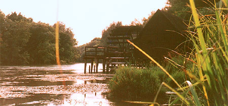 The Water Mill in Tomasikovo