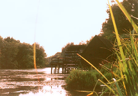 Water Mill in Tomasikovo