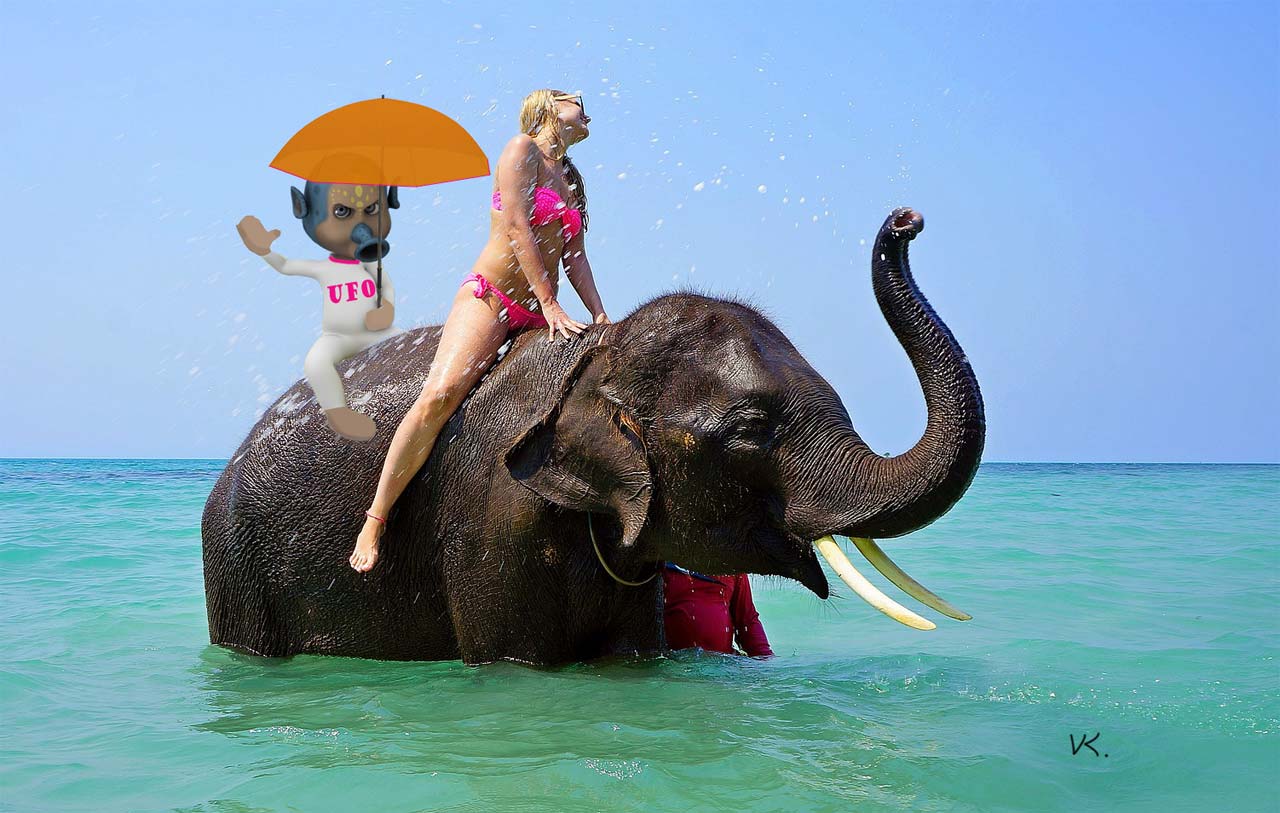 Simona a ufón na slonovi