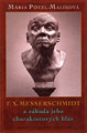 F. X. Messerschmidt a záhada jeho chakterových hláv - obálka