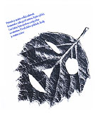 Ilustrácia z knihy Heviho škola tvorivosti