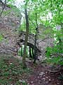 Ruins of the Pottenburg Castle and the Royal View